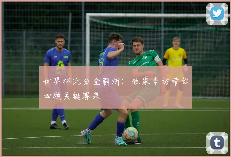 世界杯比分全解析:独家专访带你回顾关键赛果