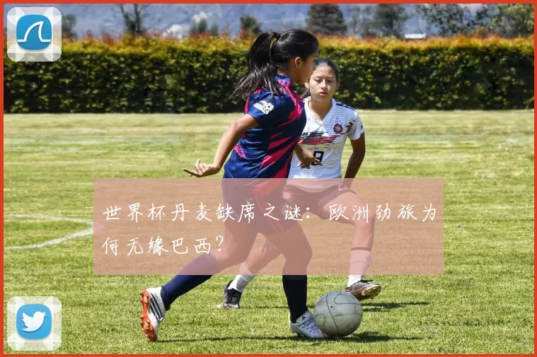 世界杯丹麦缺席之谜:欧洲劲旅为何无缘巴西?