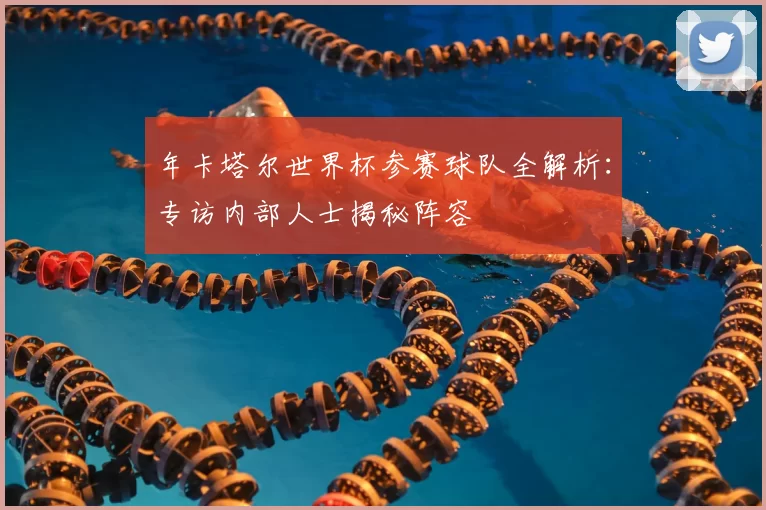 年卡塔尔世界杯参赛球队全解析:专访内部人士揭秘阵容