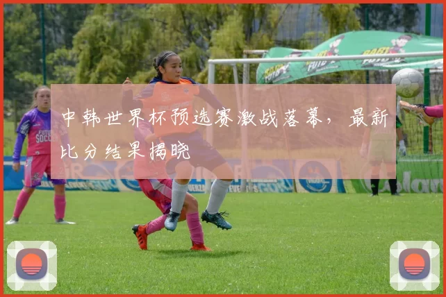 中韩世界杯预选赛激战落幕,最新比分结果揭晓
