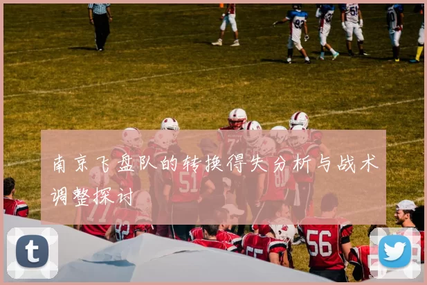 南京飞盘队的转换得失分析与战术调整探讨