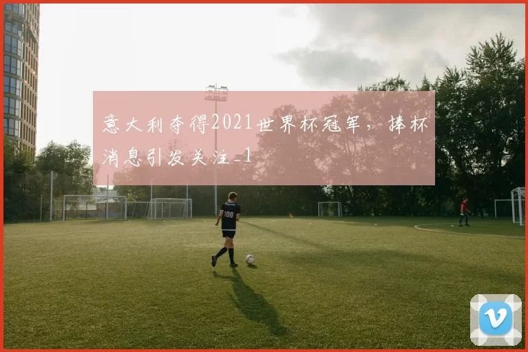 意大利夺得2021世界杯冠军，捧杯消息引发关注_1