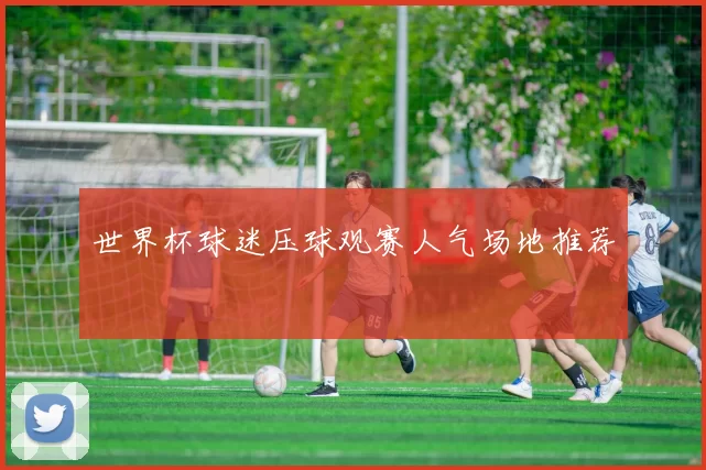 世界杯球迷压球观赛人气场地推荐
