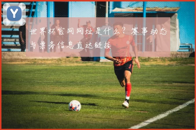 世界杯官网网址是什么?赛事动态与票务信息直达链接