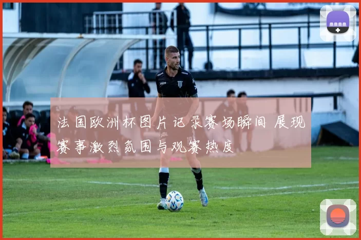 法国欧洲杯图片记录赛场瞬间 展现赛事激烈氛围与观赛热度