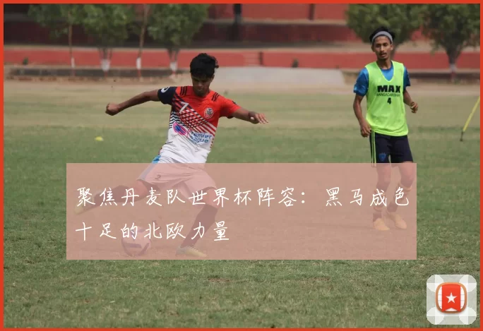 聚焦丹麦队世界杯阵容：黑马成色十足的北欧力量