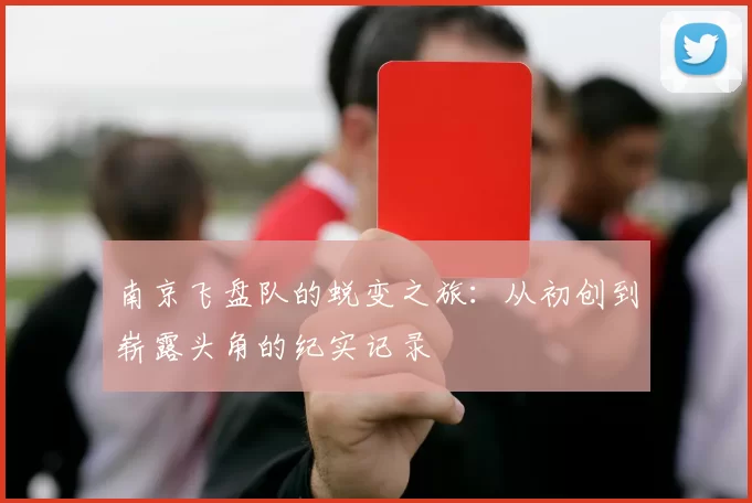 南京飞盘队的蜕变之旅：从初创到崭露头角的纪实记录