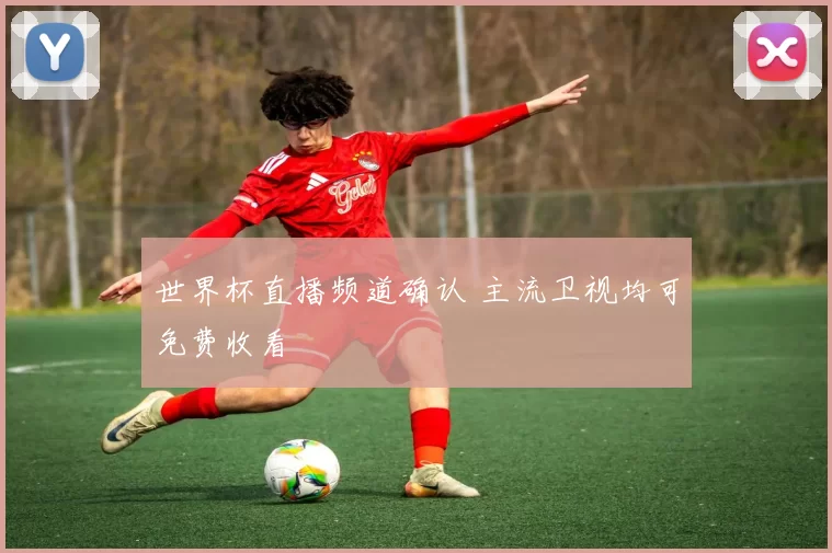 世界杯直播频道确认 主流卫视均可免费收看