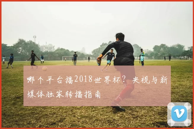 哪个平台播2018世界杯?央视与新媒体独家转播指南