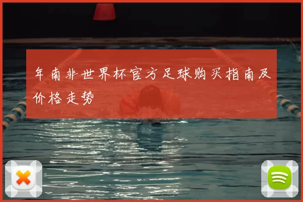 年南非世界杯官方足球购买指南及价格走势