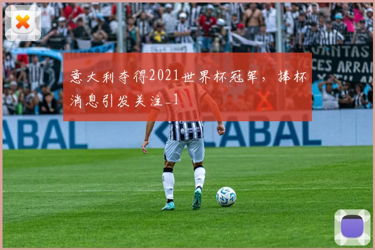 意大利夺得2021世界杯冠军,捧杯消息引发关注_1