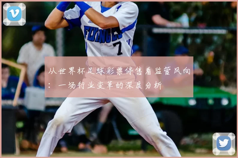 从世界杯足球彩票停售看监管风向:一场行业变革的深度分析