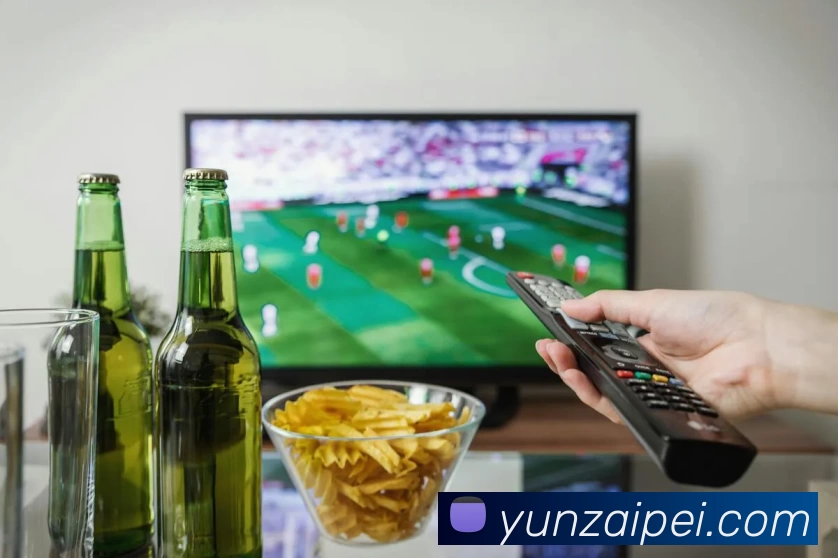 企业概况